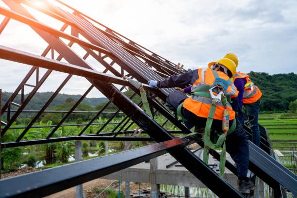 Best Flat Roof Repair Services  in Ampere North, NJ