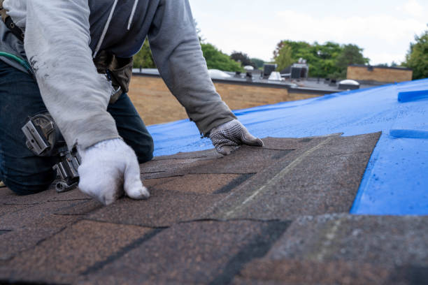 Best Roof Repair Services  in Ampere North, NJ