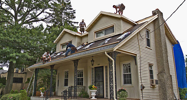 Best Roof Leak Repair  in Ampere North, NJ