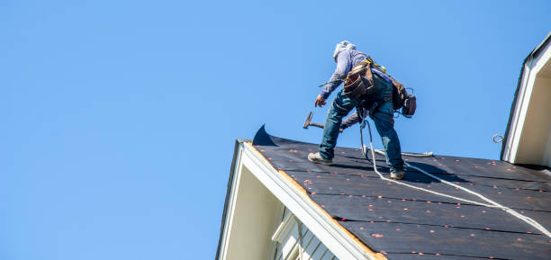 Best Roof Maintenance Services  in Ampere North, NJ